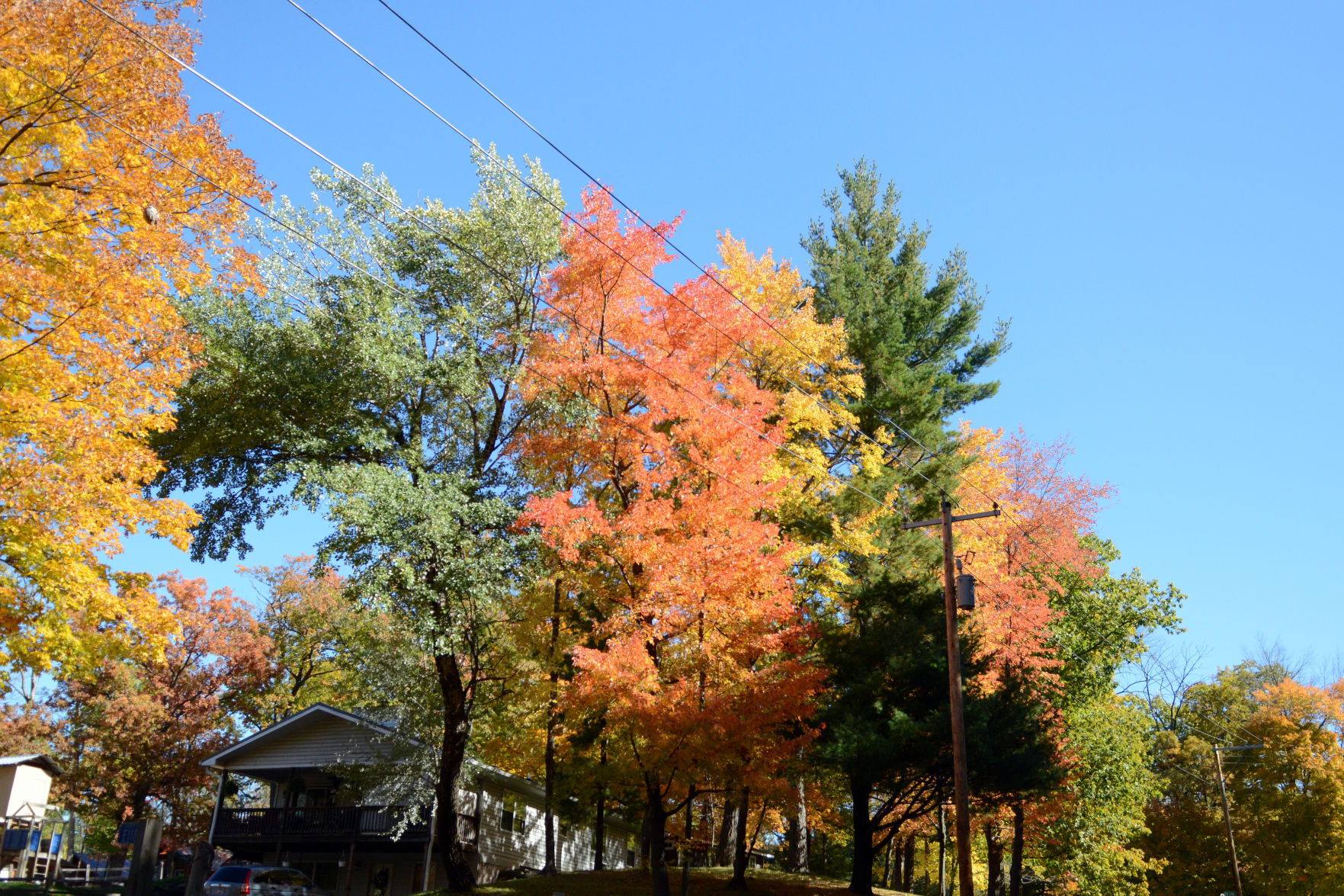 Baraboo area fall color, Oct. 8, 2020